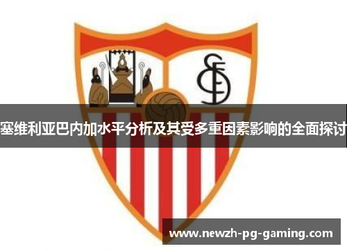 塞维利亚巴内加水平分析及其受多重因素影响的全面探讨