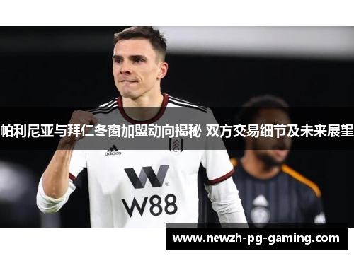 帕利尼亚与拜仁冬窗加盟动向揭秘 双方交易细节及未来展望
